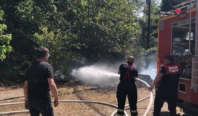 Zonguldak'ta ormanlık alanda yangın