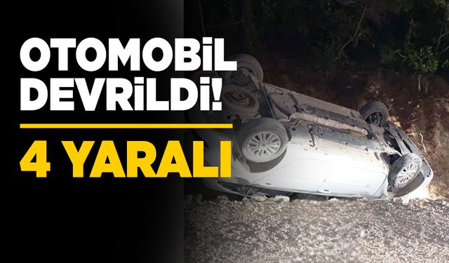 Kontrolden çıkan araç devrildi