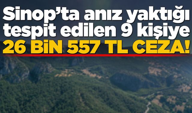 Sinop’ta anız yakan 9 kişiye ceza uygulandı