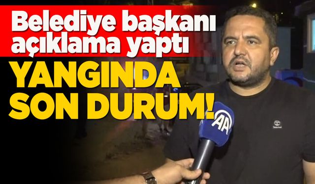 Sinop'ta orman yangınına müdahale sürüyor