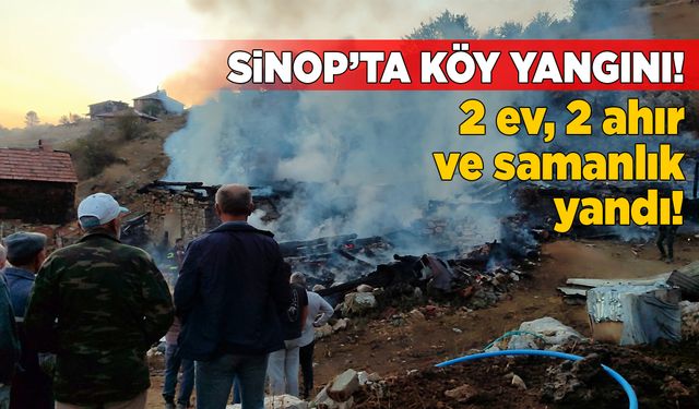 Sinop’ta yangın: Büyükbaş hayvan yanarak telef oldu