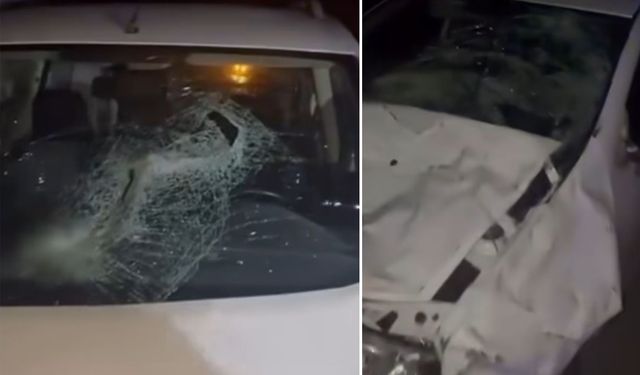 Sinop'ta yola çıkan hayvan sürüsü kazaya yol açtı
