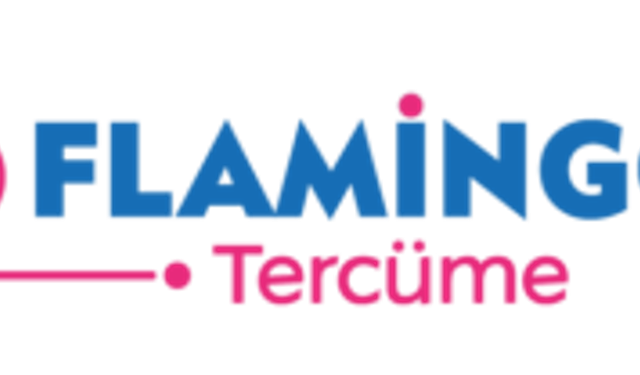 İstanbul Medikal Sözlü Tercüme | Flamingo Tercüme