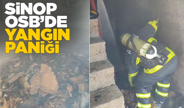 Sinop’ta fabrika yangını!