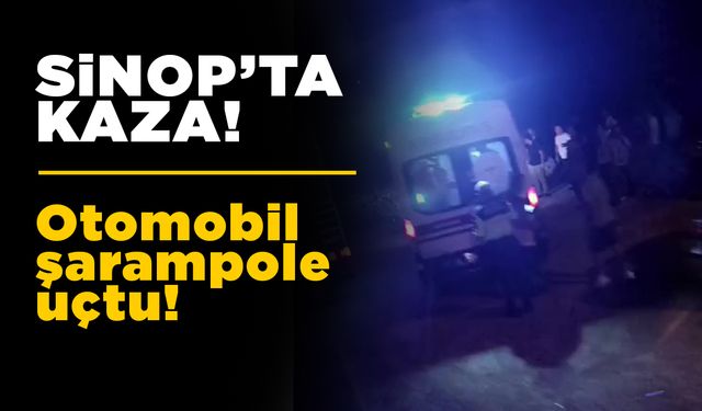 Sinop’ta kaza: Yoldan çıkıp şarampole devrildi