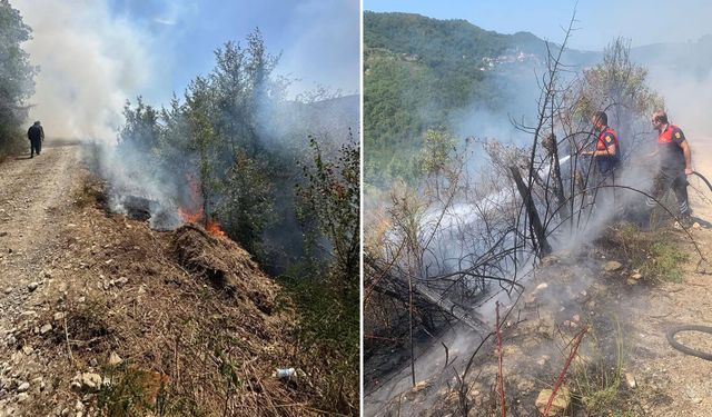Sinop'ta ormanlık alanda çıkan yangın korkuttu
