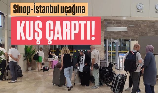 Sinop-İstanbul seferi 'Kuş Çarpması' sonucu ertelendi