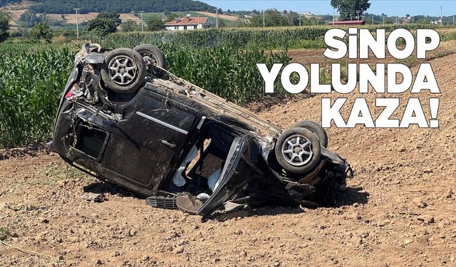 Ticari araç tarlaya devrildi