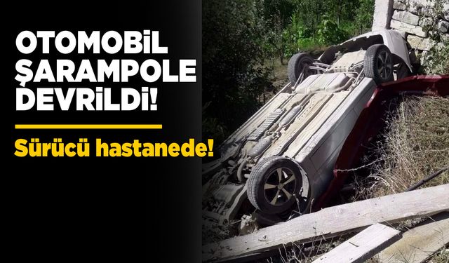Otomobil şarampole devrildi, sürücü yaralandı