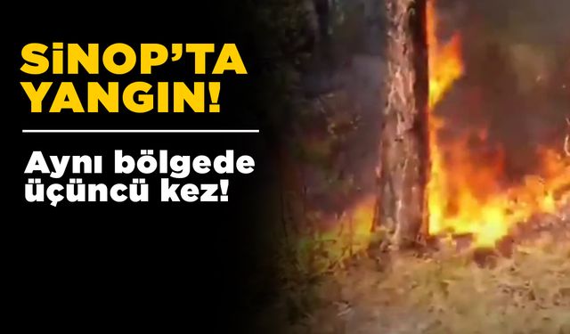 Aynı bölgede bir haftada üçüncü yangın!