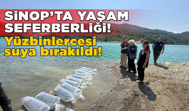 Sinop’ta tatlı su yaşamına destek