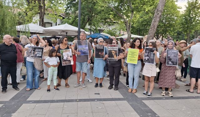 Sokak hayvanlarının yaşam koşullarına yönelik basın açıklaması
