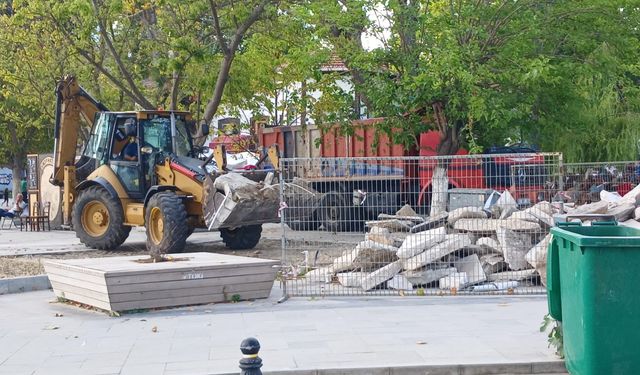 Sinop’ta çay bahçesi için çalışmalar sürüyor