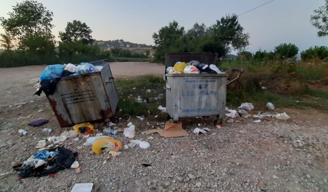 Sinop'ta çöpler konteynerde kaldı, vatandaş tepkili