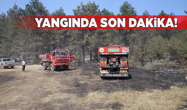 Sinop'taki orman yangınında son durum ne?