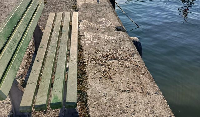 İlçe sahiline çöp atana ceza: Belediye kameradan tespit edecek