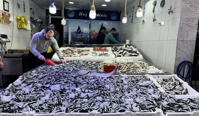 Hamsi fiyatları tüketiciyi memnun ediyor