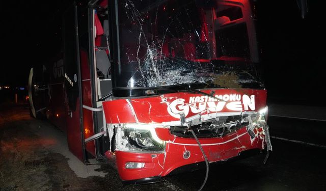 Yolcu otobüsü ve cip yola çıkan ineklere çarptı