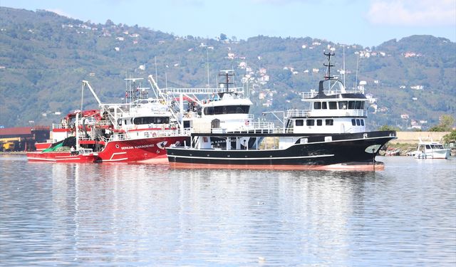 Balıkçılar limana kasalar dolusu hamsiyle döndü