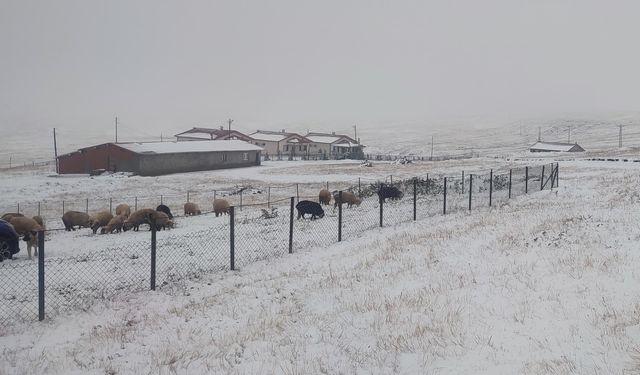 Doğu Karadeniz'in yüksek kesimlerine kar yağdı