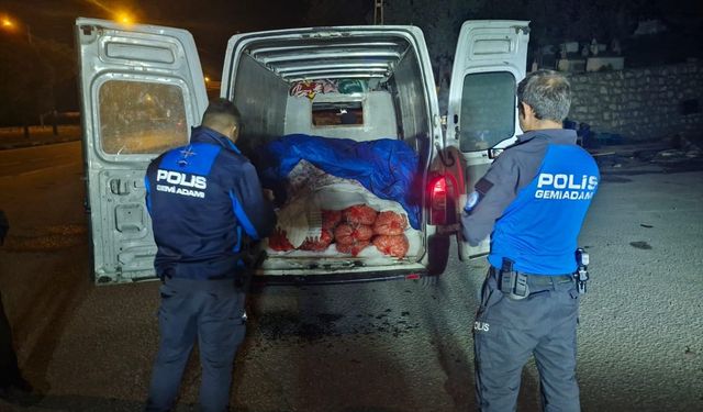 İki kamyonette 5 ton midye ele geçirildi