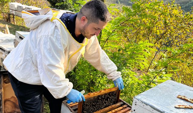 Ordulu arıcı, TKDK'dan aldığı destekle kovan sayısını 150'ye çıkarttı