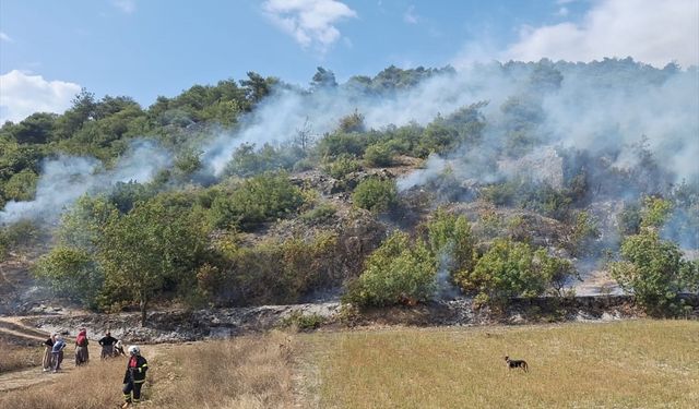 Ormanlık alanda çıkan yangın söndürüldü