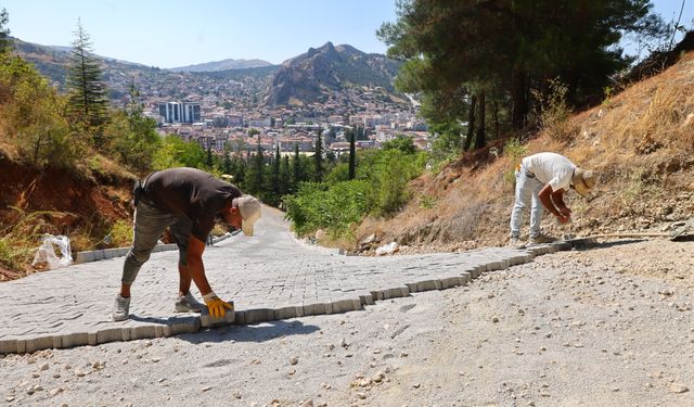 Tokat Ali Mezarlığı'nda düzenleme çalışmaları yapılıyor