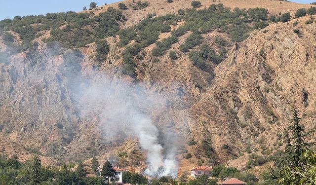 Uğurludağ'da çıkan ot yangınına müdahale edildi
