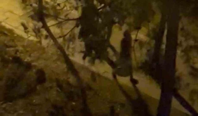 Husumetlilerin kavgasında kan aktı