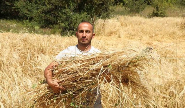 İstanbul’dan Ordu’ya uzanan çiftçilik öyküsü başarıya dönüştü