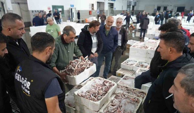 Kasalar dolusu balık mezat usulüyle satıldı