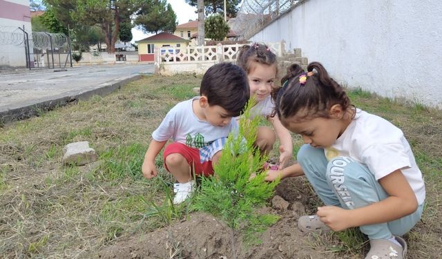 Ordulu miniklerden fidan dikim etkinliği
