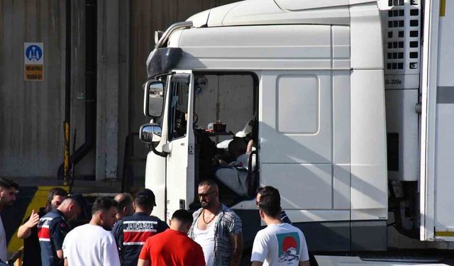 Tır sürücüsü araç içerisinde ölü bulundu