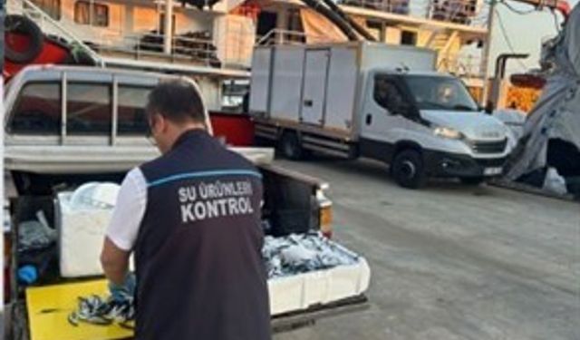 Usulsüz hamsi çıkışına 37 bin TL ceza