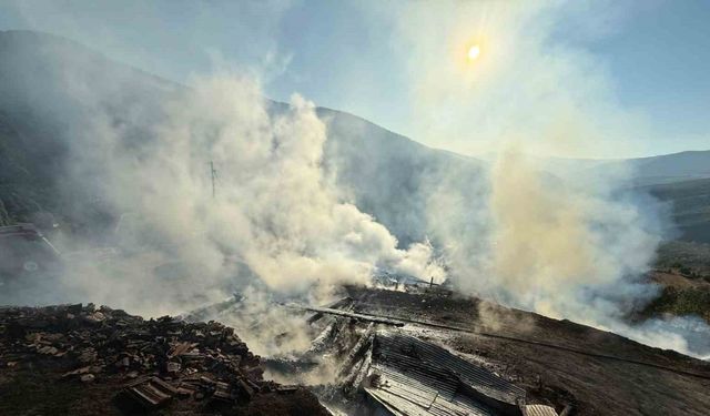 Yangında iki ev ve iki samanlık kullanılamaz hale geldi