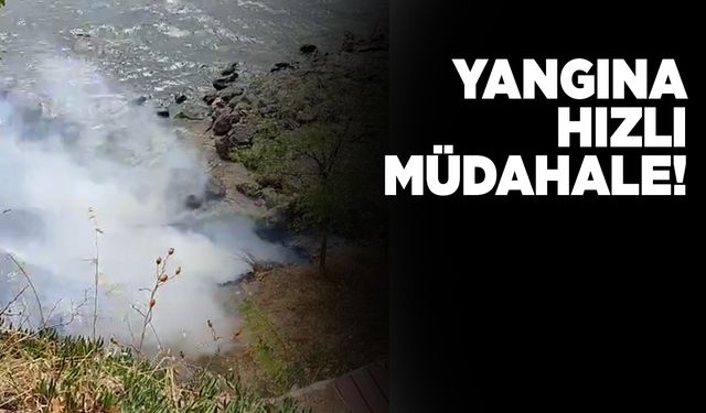 Sinop sahilindeki yangına hızlı müdahale