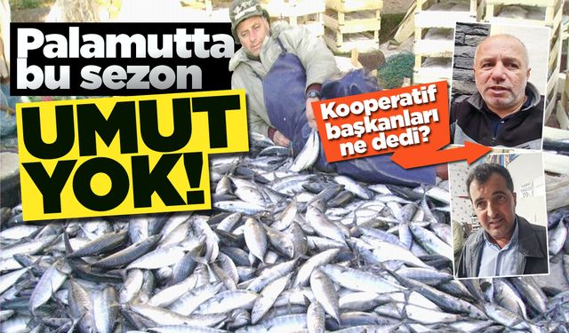 Sinoplu balıkçı palamuttan umudu kesti!