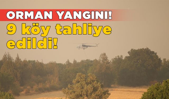 Kastamonu’da orman yangını: 9 köy tahliye edildi