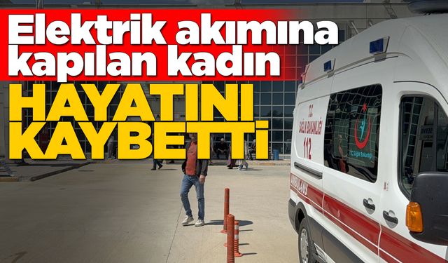 Süt sağım makinesi ölüme neden oldu