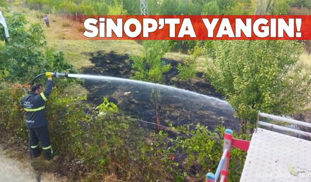 Sinop’ta kırsal alanda çıkan yangını korkuttu!