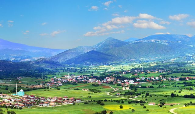 BELEDİYEYE AİT İŞYERİ KİRALANMASI, İŞ MAKİNESİ VE ARSA SATIŞI YAPILACAK