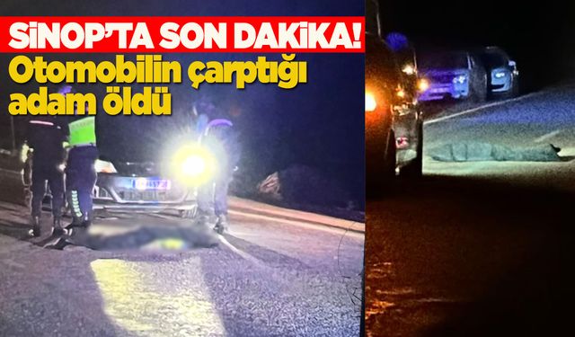 Sinop’ta feci kaza: Yaşlı adam hayatını kaybetti