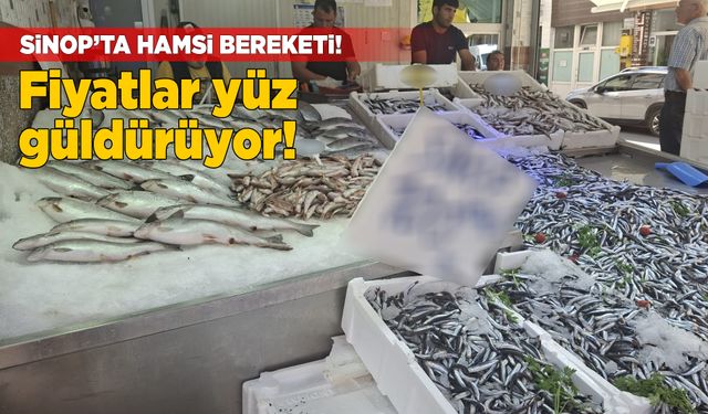 Sinop’ta hamsi bereketi vatandaşı sevindirdi