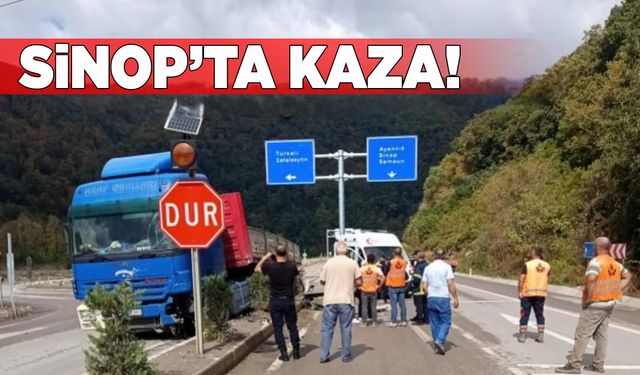 Ani manevra yapan tır refüje çıktı