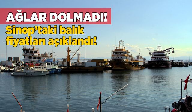 Sinop'ta denize açılan balıkçılar umduğunu bulamadı