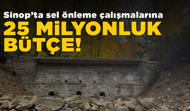 Sel kontrol çalışmalarına 25 milyon bütçe