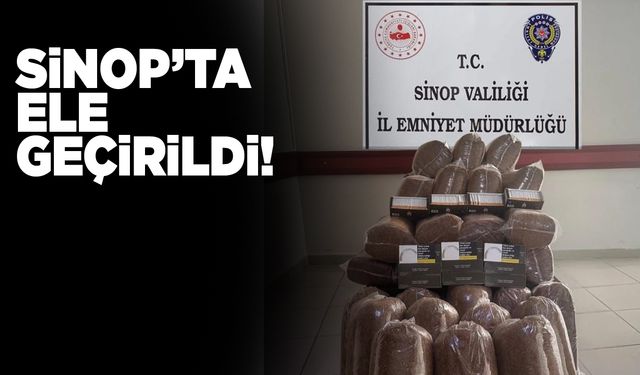 Sinop’ta kaçak tütün operasyonu
