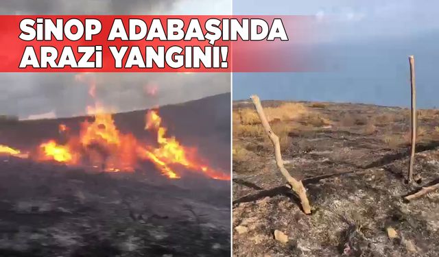 Sabah saatlerinde arazi yangını çıktı