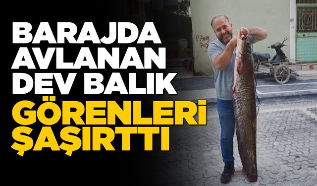 Durağan Barajı’nda dev yayın balığı yakalandı